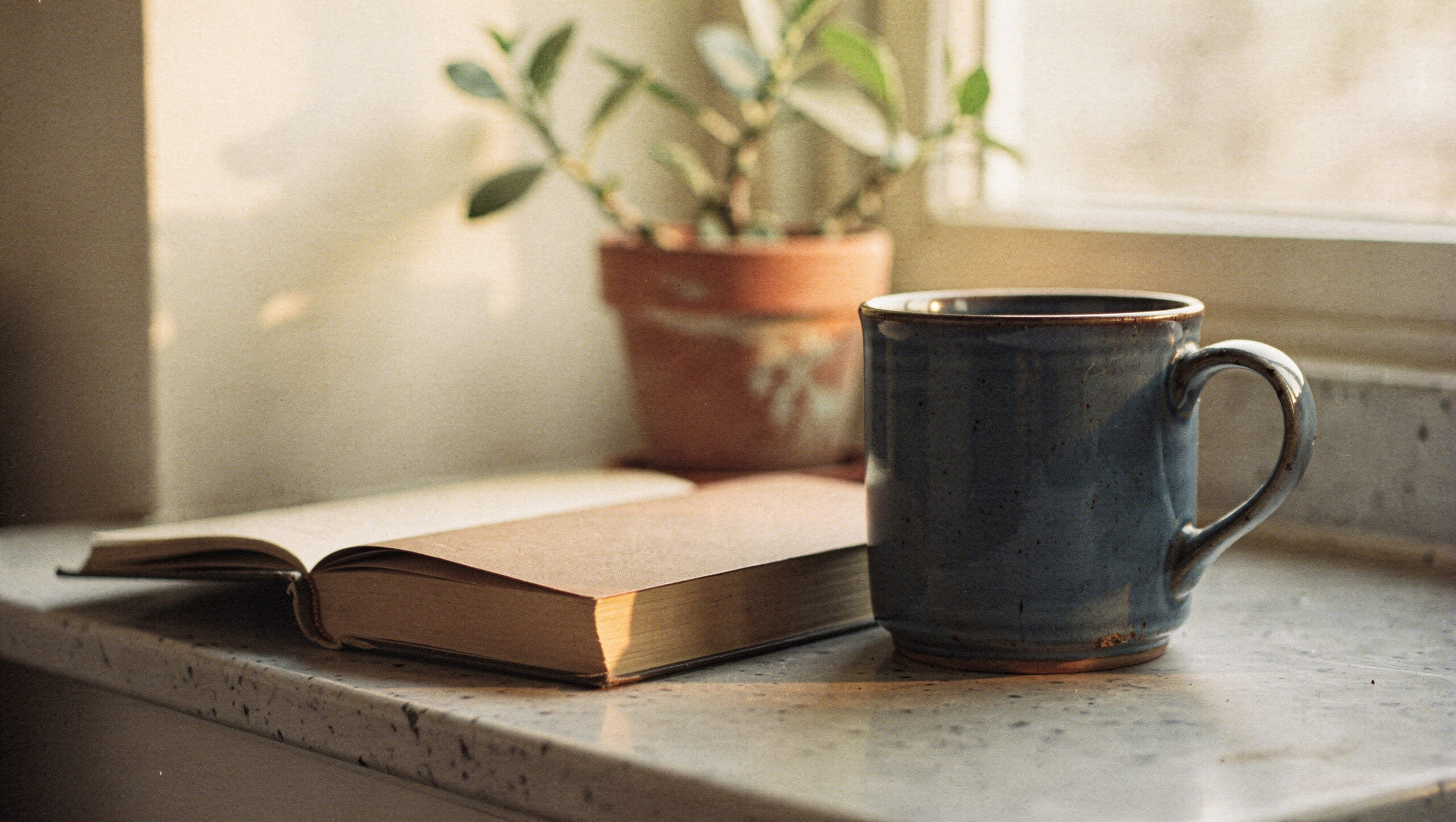 feel-like-yourself-again-featured A blue mug and an open book on a sunny windowsill beside a potted plant
